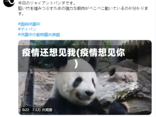 疫情还想见我(疫情想见你)