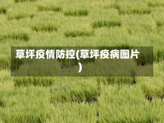 草坪疫情防控(草坪疫病图片)
