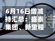 6月16日增减持汇总：盛泰集团、新里程披露增持情况，播恩集团等4股拟减持（表）
