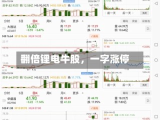 翻倍锂电牛股，一字涨停