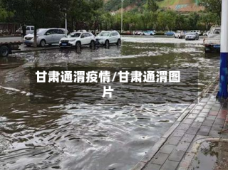 甘肃通渭疫情/甘肃通渭图片
