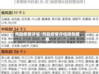 风险疫情评估/风险疫情评估报告模板
