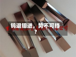 钨退钼进，势不可挡？
