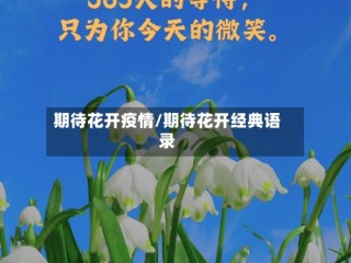期待花开疫情/期待花开经典语录