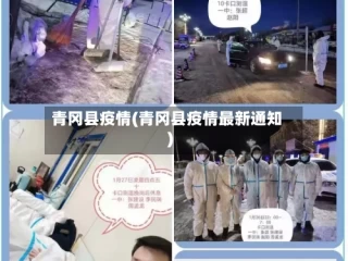 青冈县疫情(青冈县疫情最新通知)
