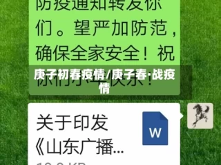 庚子初春疫情/庚子春·战疫情