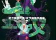 武汉疫情尽快/武汉疫情又要来了