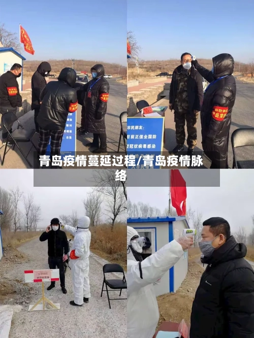 青岛疫情蔓延过程/青岛疫情脉络-第1张图片
