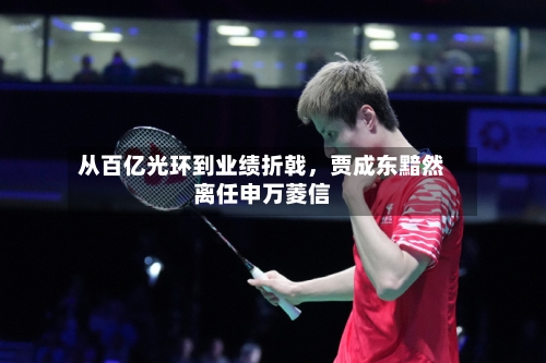 从百亿光环到业绩折戟，贾成东黯然离任申万菱信-第2张图片