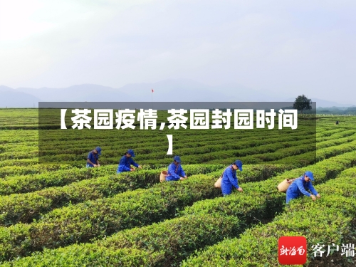 【茶园疫情,茶园封园时间】-第1张图片