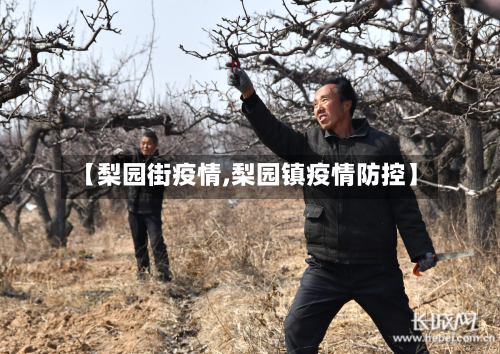 【梨园街疫情,梨园镇疫情防控】-第1张图片