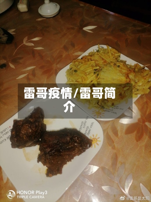 雷哥疫情/雷哥简介-第1张图片