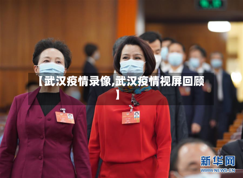 【武汉疫情录像,武汉疫情视屏回顾】-第2张图片