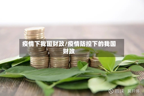 疫情下我国财政/疫情防控下的我国财政-第3张图片