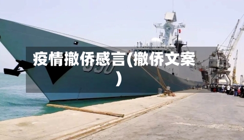 疫情撤侨感言(撤侨文案)-第2张图片