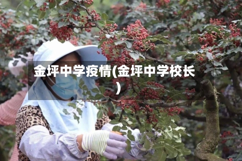 金坪中学疫情(金坪中学校长)-第1张图片