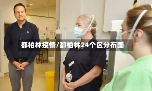 都柏林疫情/都柏林24个区分布图-第2张图片