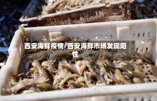 西安海鲜疫情/西安海鲜市场发现阳性-第3张图片
