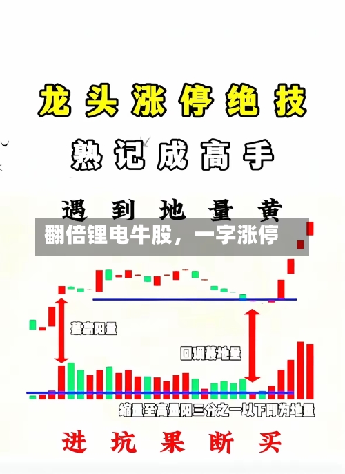 翻倍锂电牛股，一字涨停-第3张图片