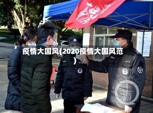 疫情大国风(2020疫情大国风范)-第1张图片