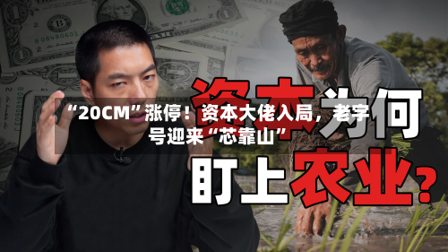 “20CM”涨停！资本大佬入局，老字号迎来“芯靠山”-第3张图片
