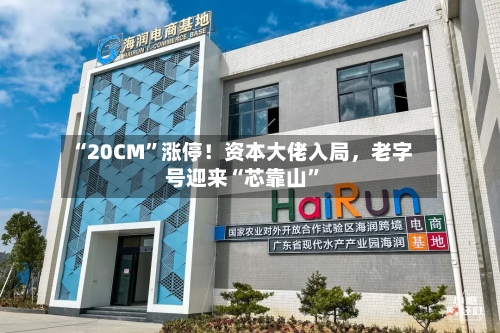 “20CM”涨停！资本大佬入局，老字号迎来“芯靠山”-第1张图片