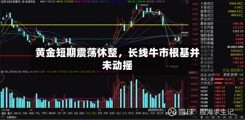 黄金短期震荡休整	，长线牛市根基并未动摇-第1张图片