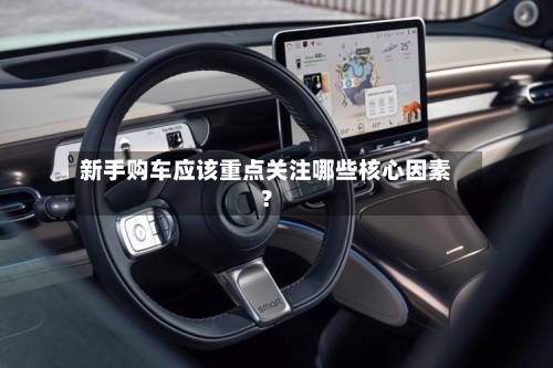 新手购车应该重点关注哪些核心因素？-第1张图片